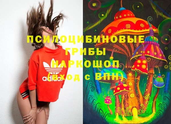 гашик Белоозёрский
