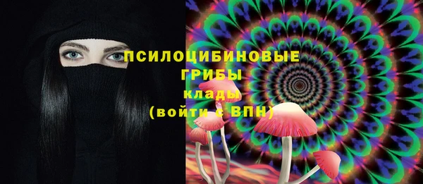 Альфа ПВП Богородицк