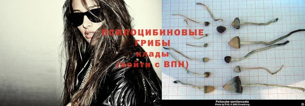 Альфа ПВП Богородицк