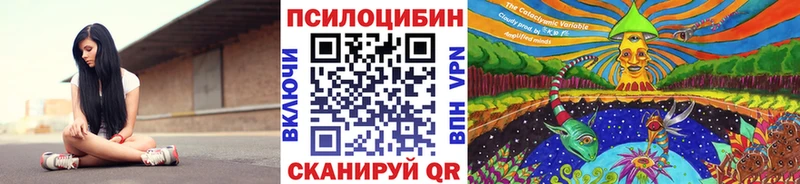 как найти закладки  Светогорск  мориарти телеграм  Галлюциногенные грибы Psilocybine cubensis 